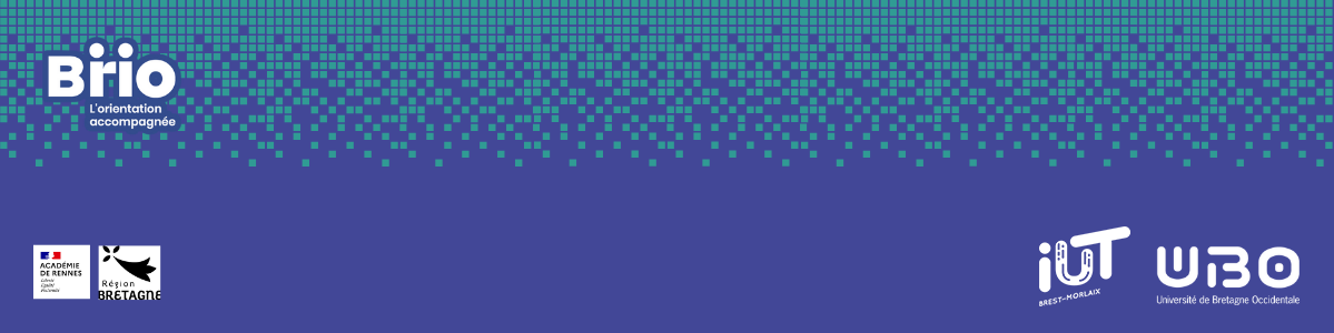 **IUT-UBO**