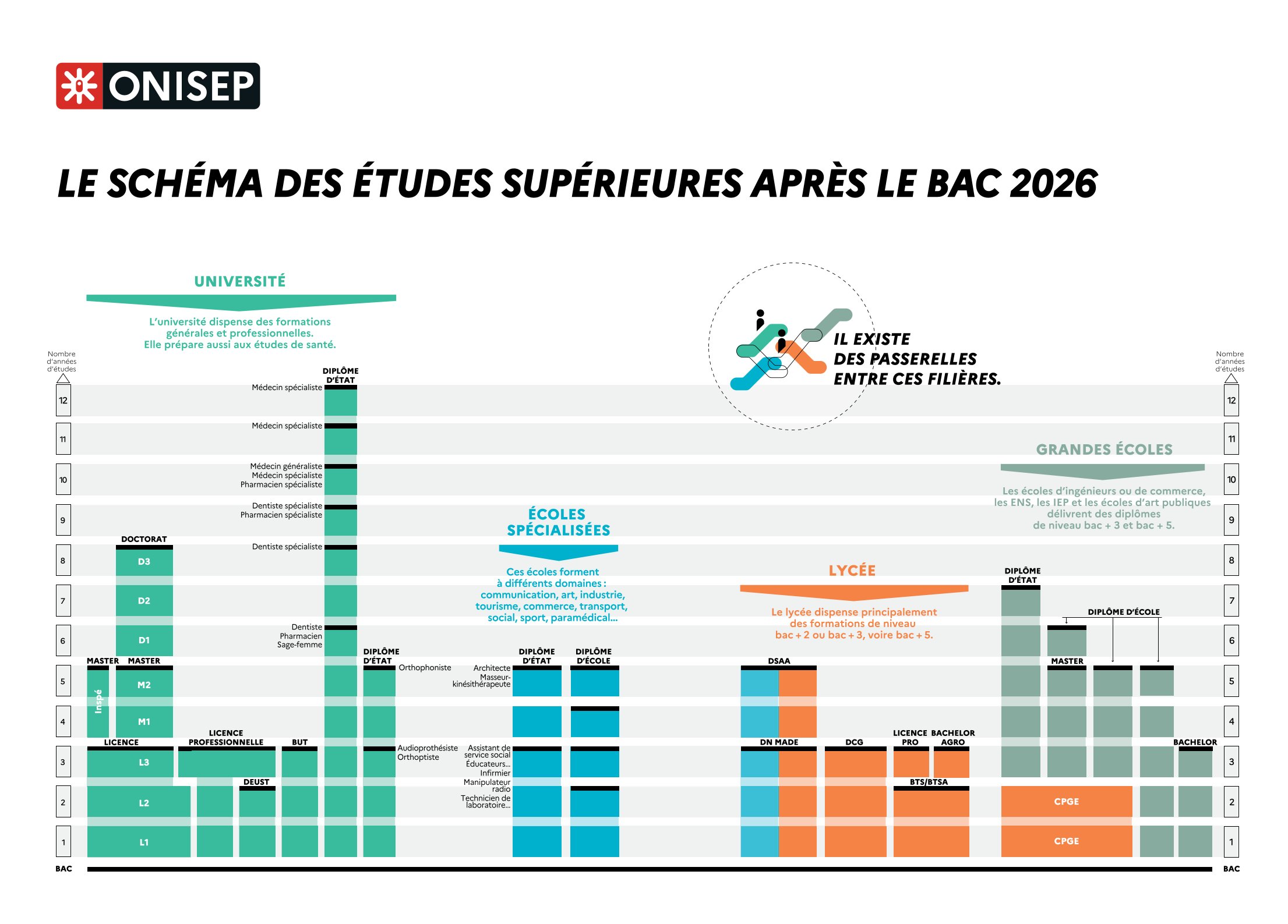 Schéma des études supérieures